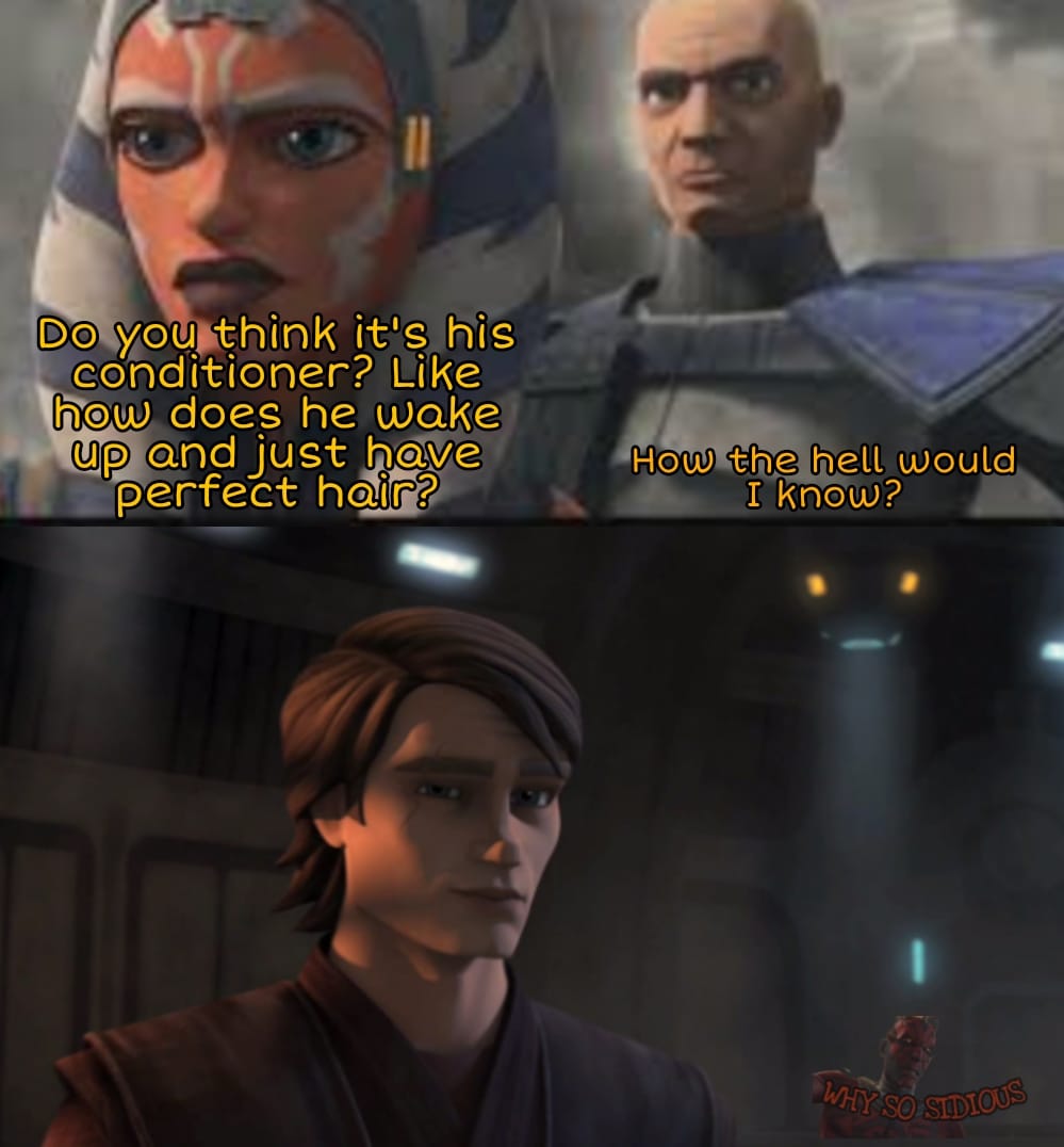 This meme is a humorous exchange between two characters from the Star Wars franchise, Ahsoka Tano and Bo-Katan. Ahsoka asks Bo-Katan if she thinks a certain character's hair is a "good boy", and Bo-Katan responds with a sarcastic comment. The meme is likely referencing a popular meme format where a character's innocent or childlike comment is met with a dark or humorous response.